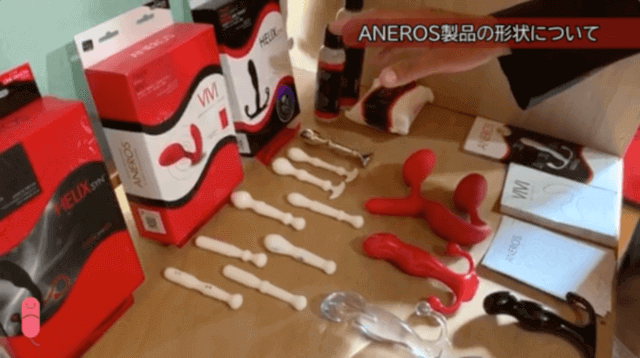 アネロス取材4