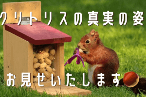 クリトリスの真実の姿　アイキャッチ