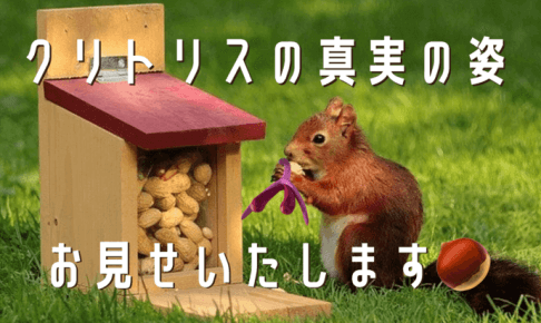 クリトリスの真実の姿　アイキャッチ