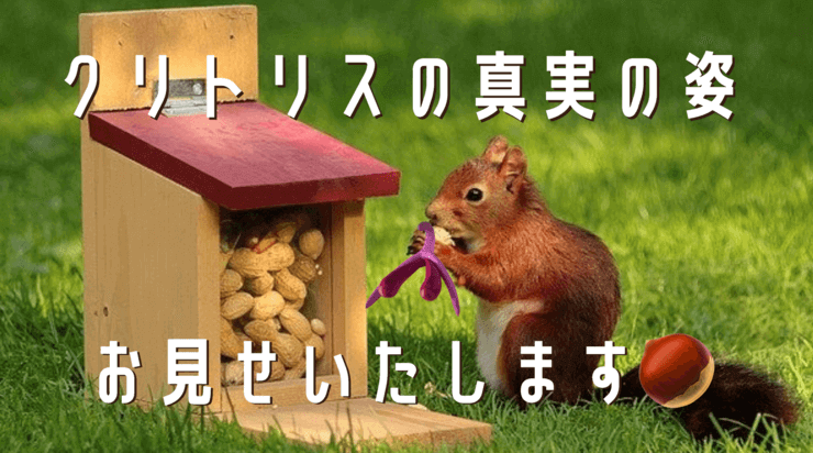 クリトリスの真実の姿　アイキャッチ