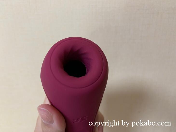 Satisfyer corvy1+_2