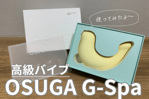 中国高級バイブ_osuga_gspa
