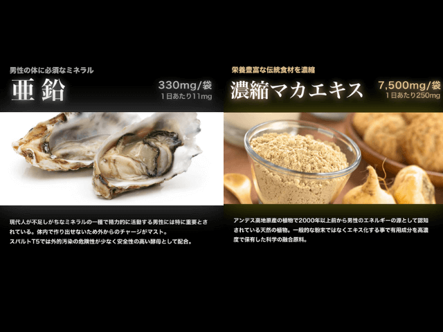 スパルト成分__2 